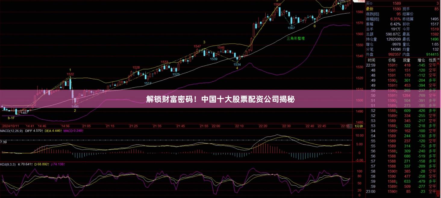 解锁财富密码！中国十大股票配资公司揭秘