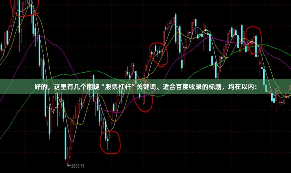 好的，这里有几个围绕“股票杠杆”关键词、适合百度收录的标题，均在以内：