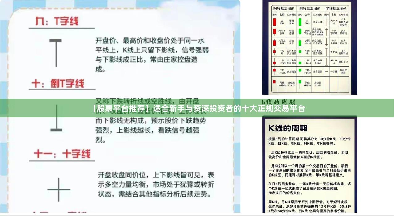 【股票平台推荐】适合新手与资深投资者的十大正规交易平台